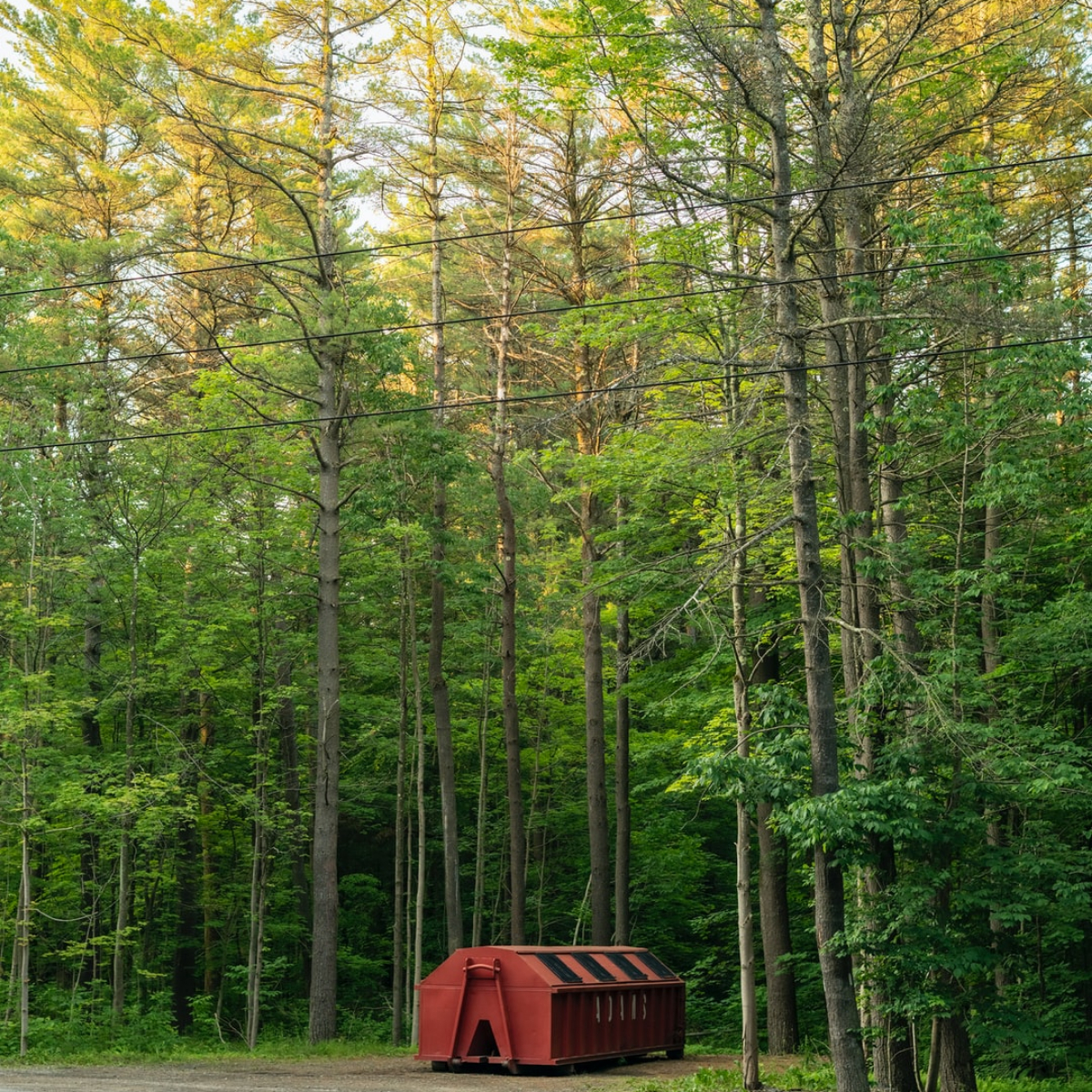 What To Watch Out For When Buying Land In New York