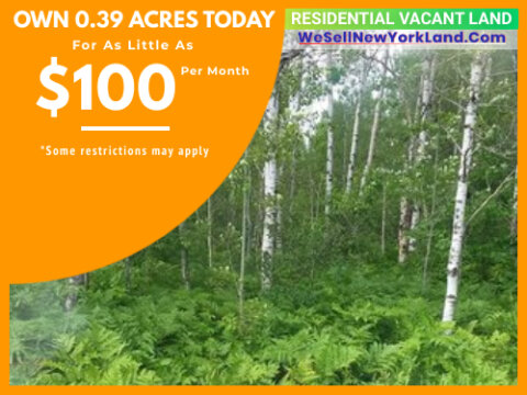 Lot 256 Snowridge Trail Elmira, MI Main