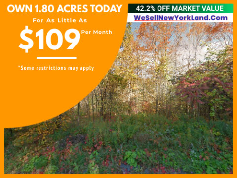 0 Holland Glenwood Rd, Colden, New York Main
