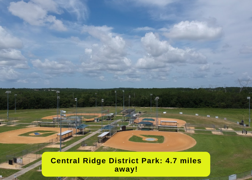 0.31acre Lot in Citrus Springs for only 139 a Month! The Lot Source