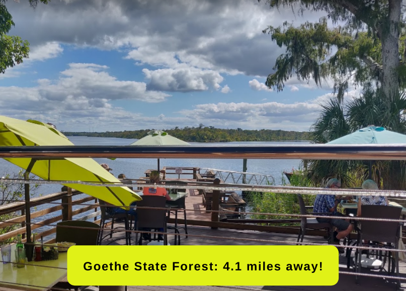 1.25acres in your Levy County outdoor paradise. The Lot Source