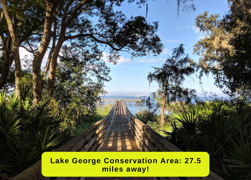 1.25 Acres in Flagler County No restrictions! The Lot Source