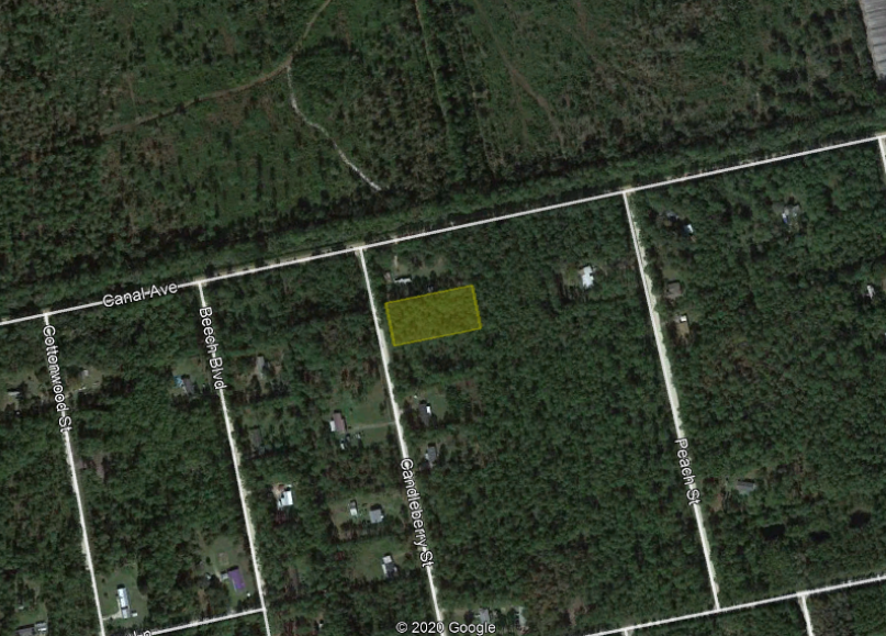 1.25 Acres in Flagler County No restrictions! The Lot Source