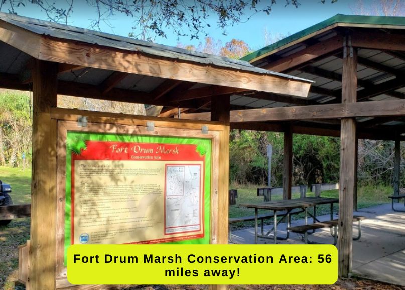 1.5 acres in Okeechobee (Viking Estates) Build your mini farm! The