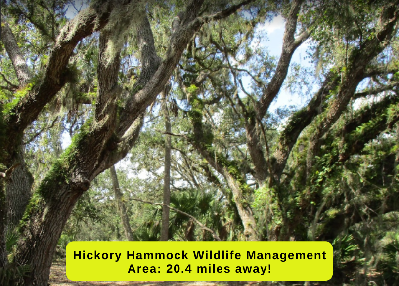 1.5 acres in Okeechobee (Viking Estates) Build your mini farm! The Lot Source