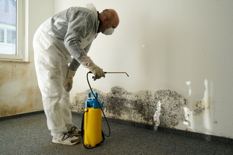 Sell My House With Mold What To Know About Selling Your House With