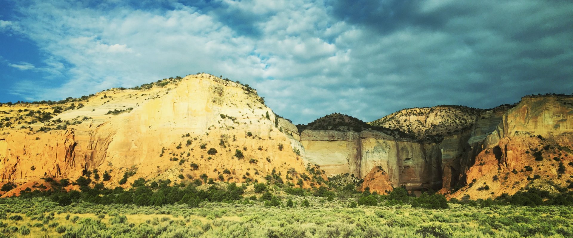 Sell Your Land in New Mexico Fast!