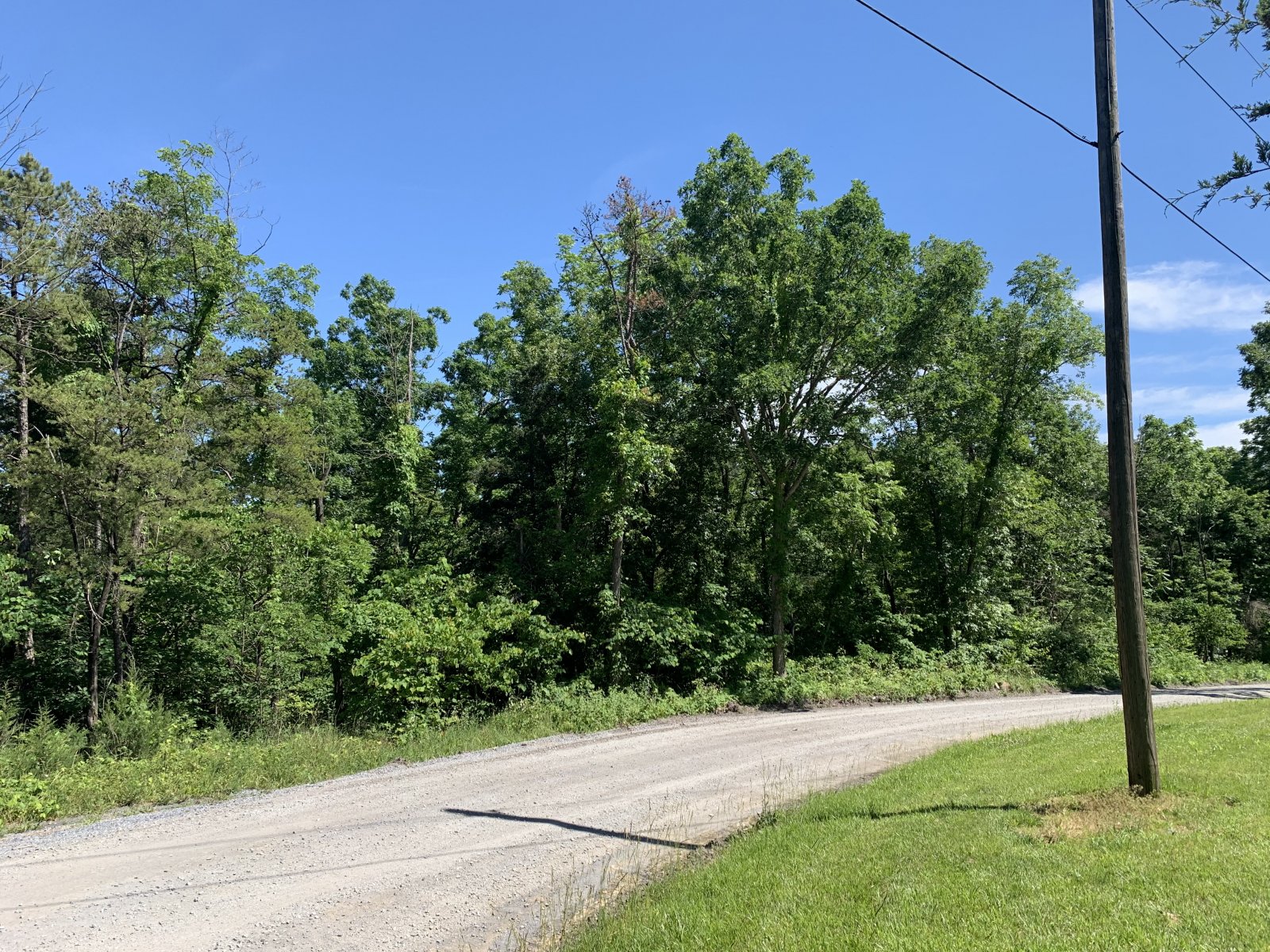 Beautiful Wooded Land 0.84 Acres Page County, VA Ivy Land Company