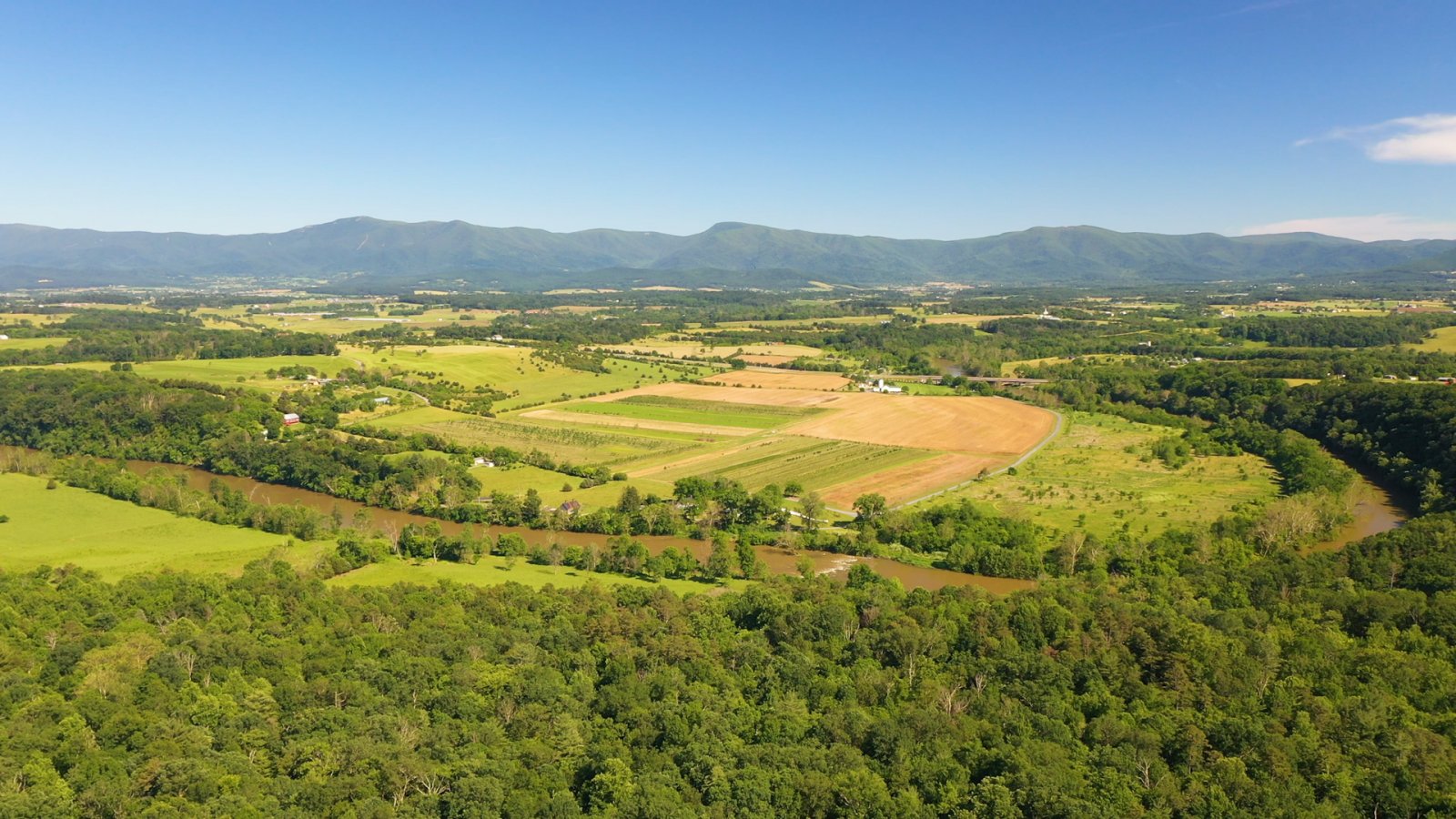 Beautiful Wooded Land 0.84 Acres Page County, VA Ivy Land Company