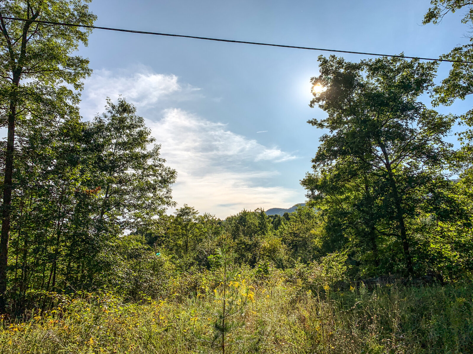 Charming, Buildable, Wooded Land 0.97 Acres Page County, VA Ivy