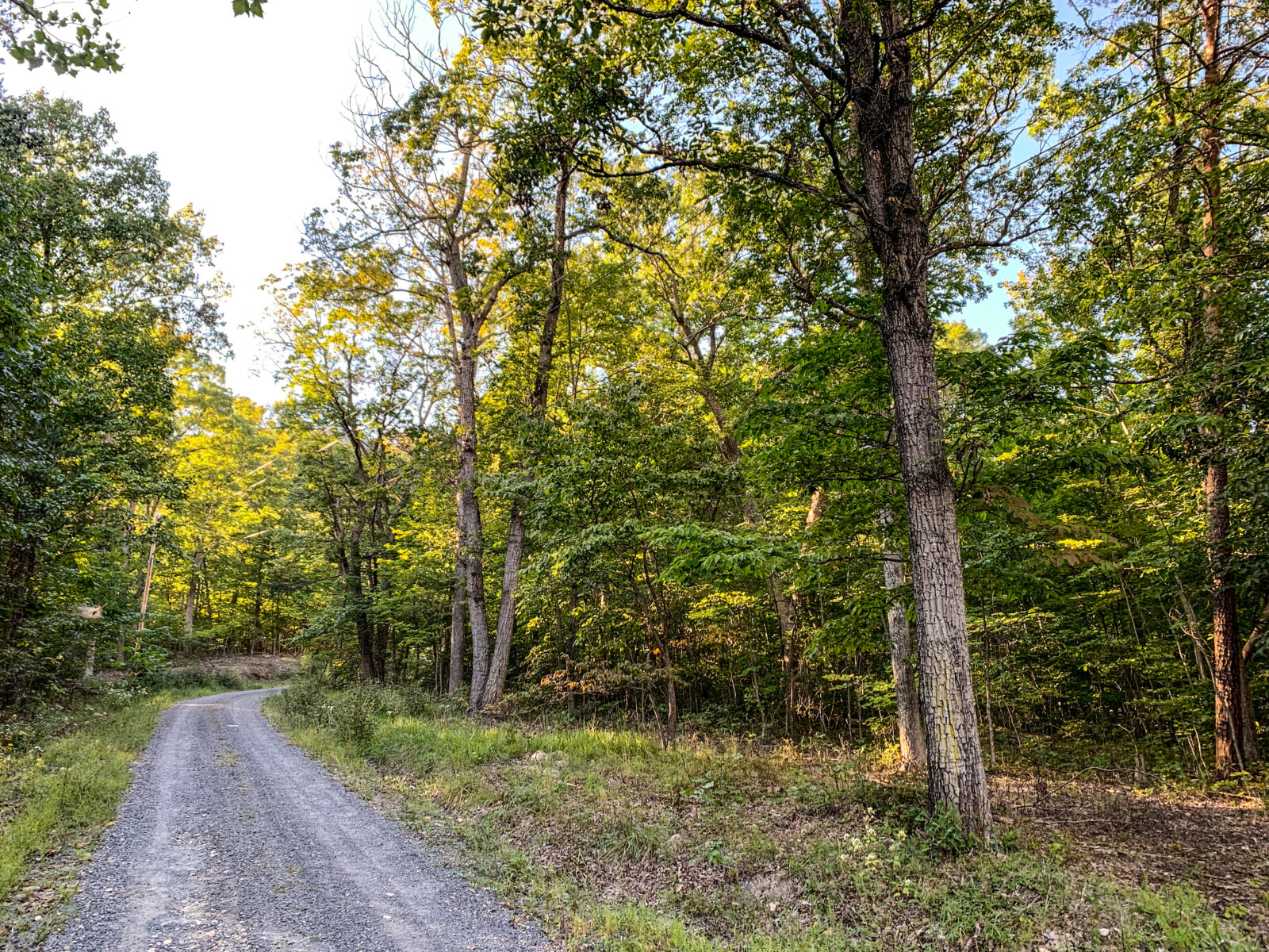 Stunning, Wooded Land 3.0 Acres Page County Virginia Ivy Land Company