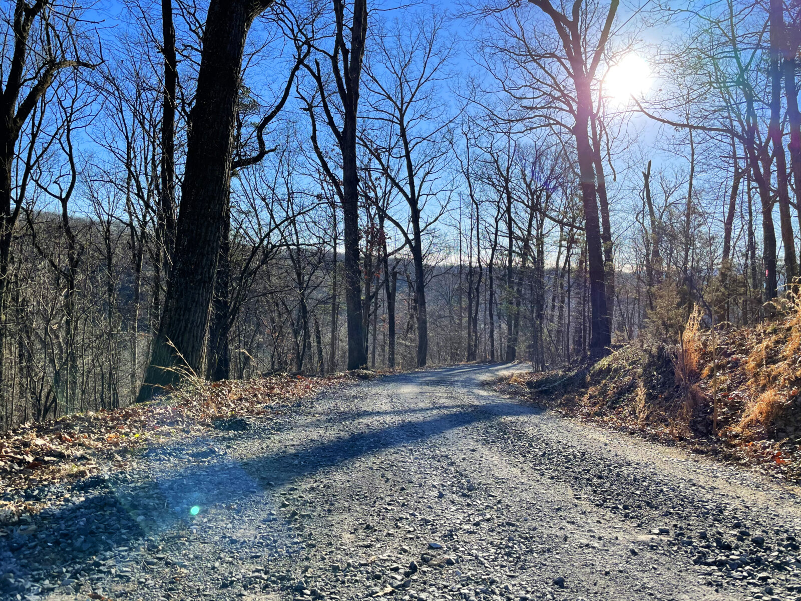 Peaceful Haven in the Blue Ridge Mountains1.074 Acres in Page County