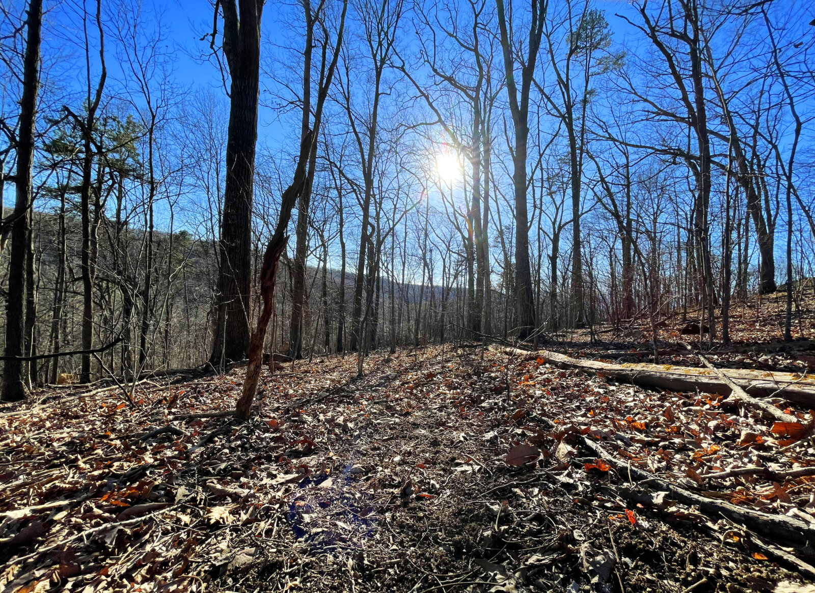 Peaceful Haven in the Blue Ridge Mountains1.074 Acres in Page County