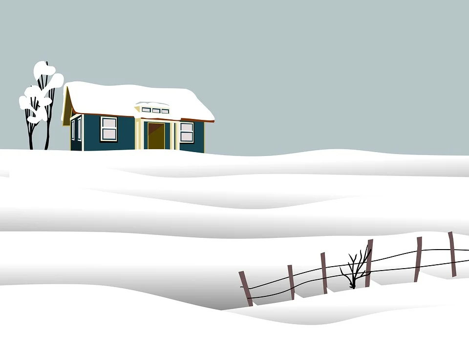 how to stage my house for a winter sale in Washington DC