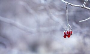 selling during holiday can be very cold