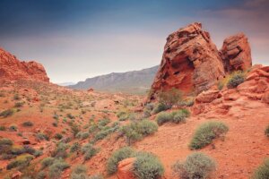 Difference of selling land and house in Tucson AZ