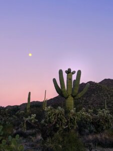 Tips for selling a vacant land in Tucson