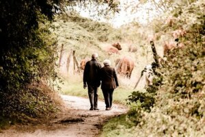 Importance of financial stability to enjoy retirement years