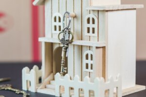 Use profit from vacant land sale to achieve dream house