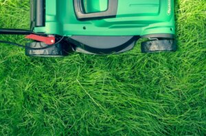 maintain yard and landscaping to keep tenants happy