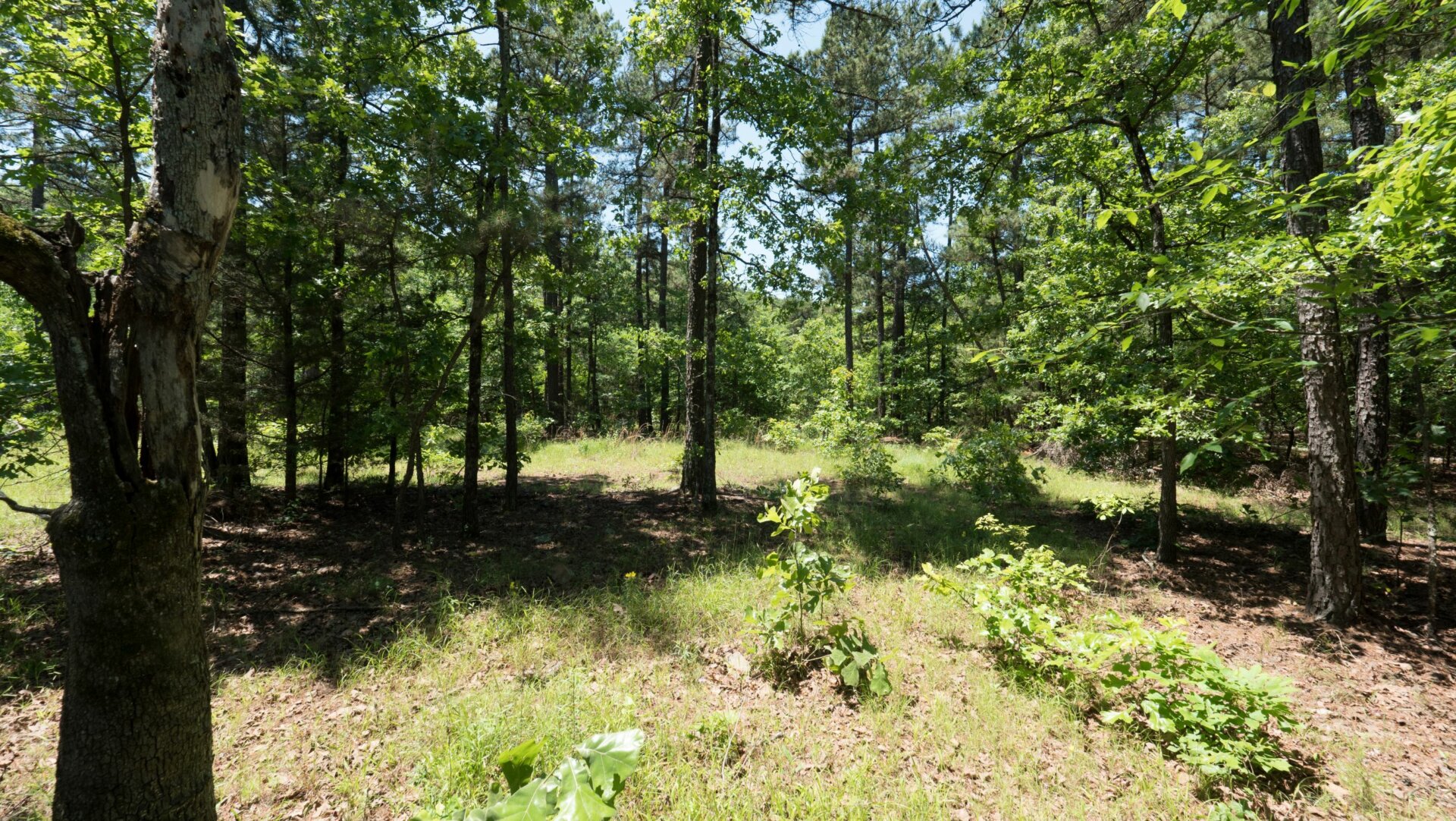 How To Sell Vacant Lots And Land Without A Realtor In Independence