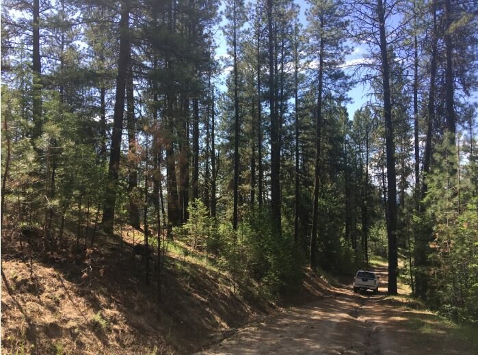 80 Acres in Tonasket WA Okanogan County Land Leap Pro