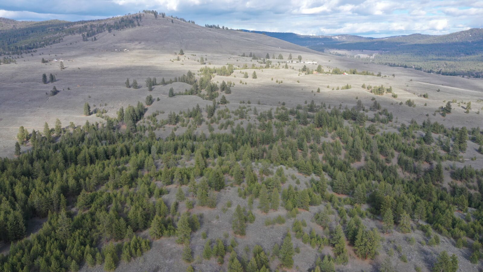 40 Acre Aeneas Valley Forever Home with Utilities Tonasket WA