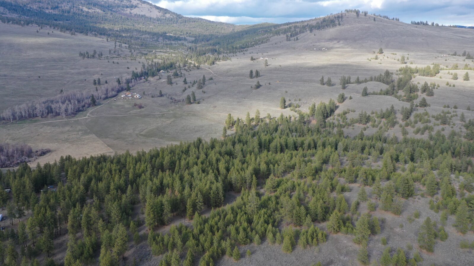 40 Acre Aeneas Valley Forever Home with Utilities Tonasket WA