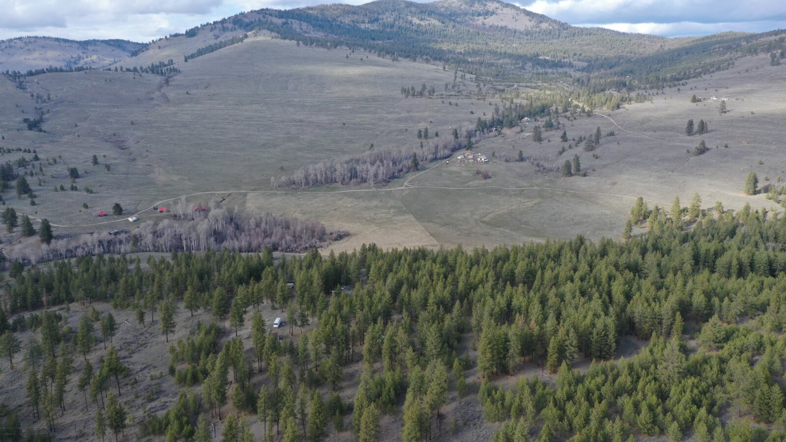 40 Acre Aeneas Valley Forever Home with Utilities Tonasket WA