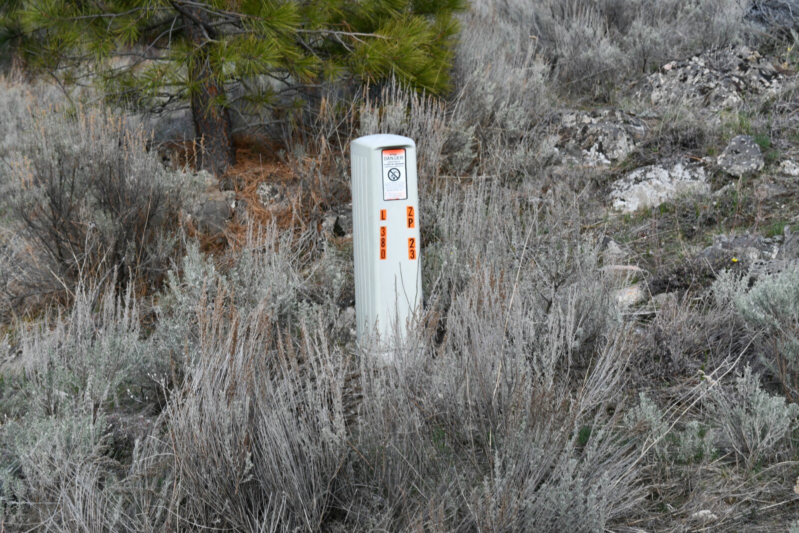 40 Acre Aeneas Valley Forever Home with Utilities Tonasket WA