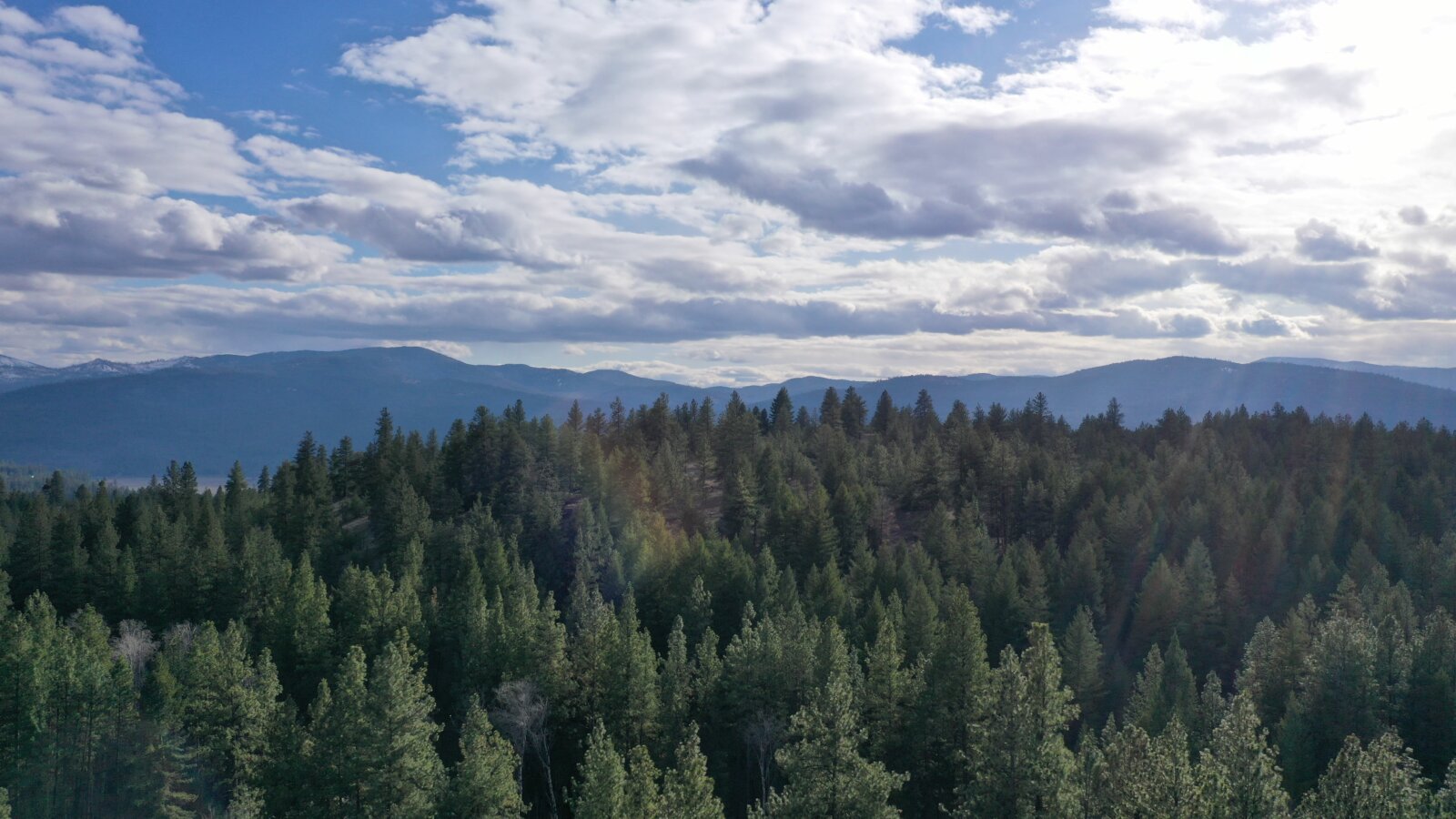 40 Acre Aeneas Valley Forever Home with Utilities Tonasket WA