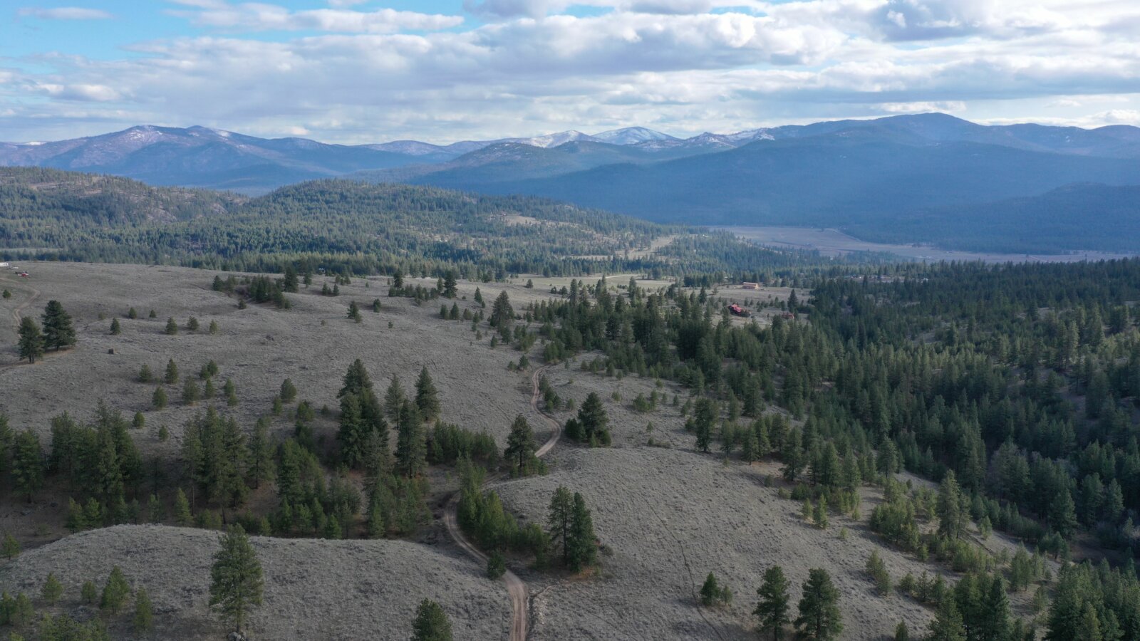 40 Acre Aeneas Valley Forever Home with Utilities Tonasket WA