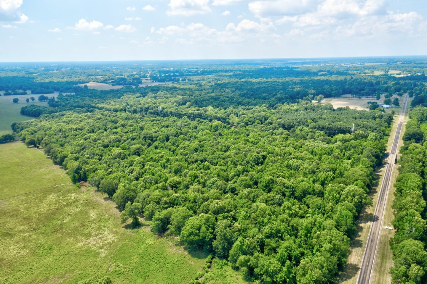 20 Acres in Bowie County TX Discover Land Now