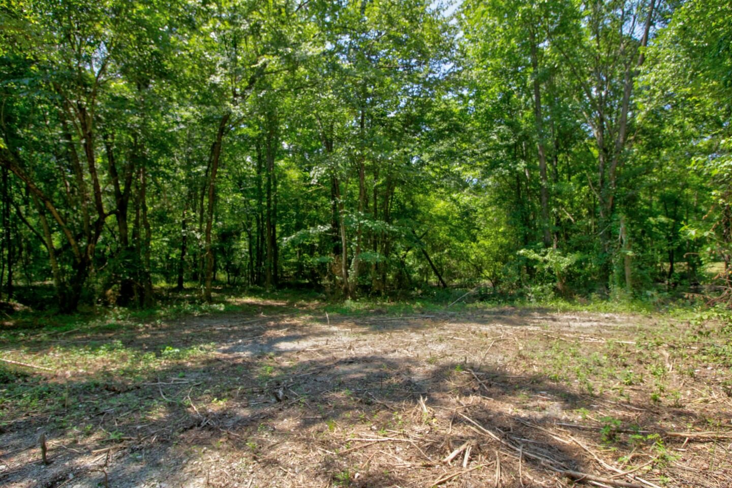 20 Acres in Bowie County TX Discover Land Now