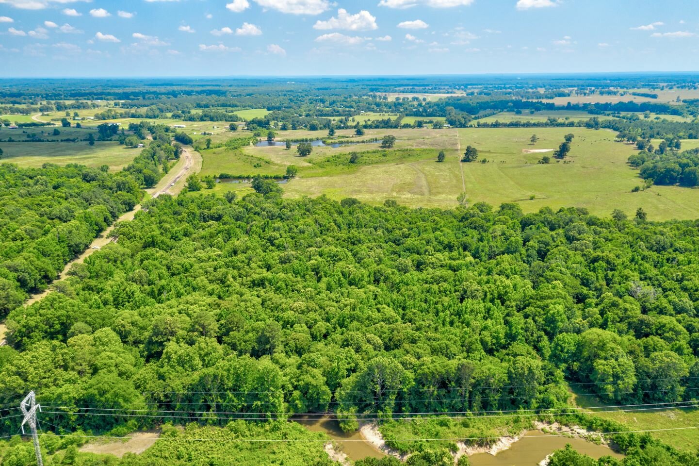 20 Acres in Bowie County TX Discover Land Now