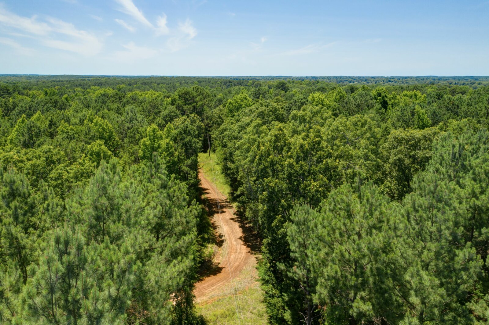 12 Wooded Acres in Marietta, TX Cass County Discover Land Now
