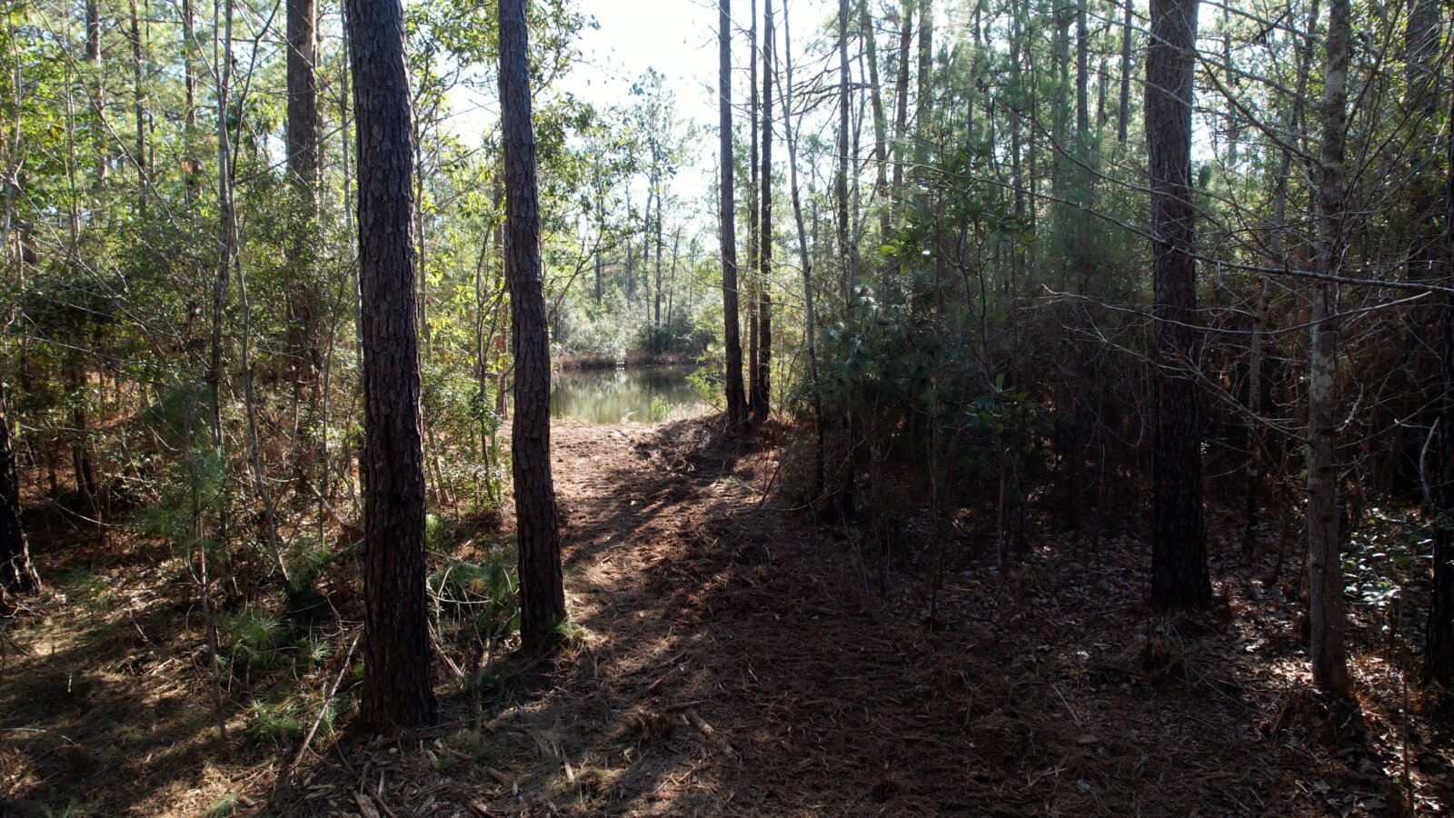 Kountze TX 14.81 Acres with Power & New Survey Discover Land Now