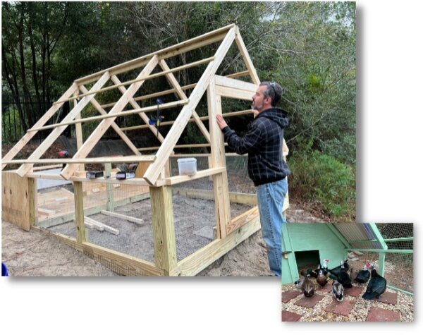 Mike building a duck coop with smaller picture of finished coop with ducks inside.