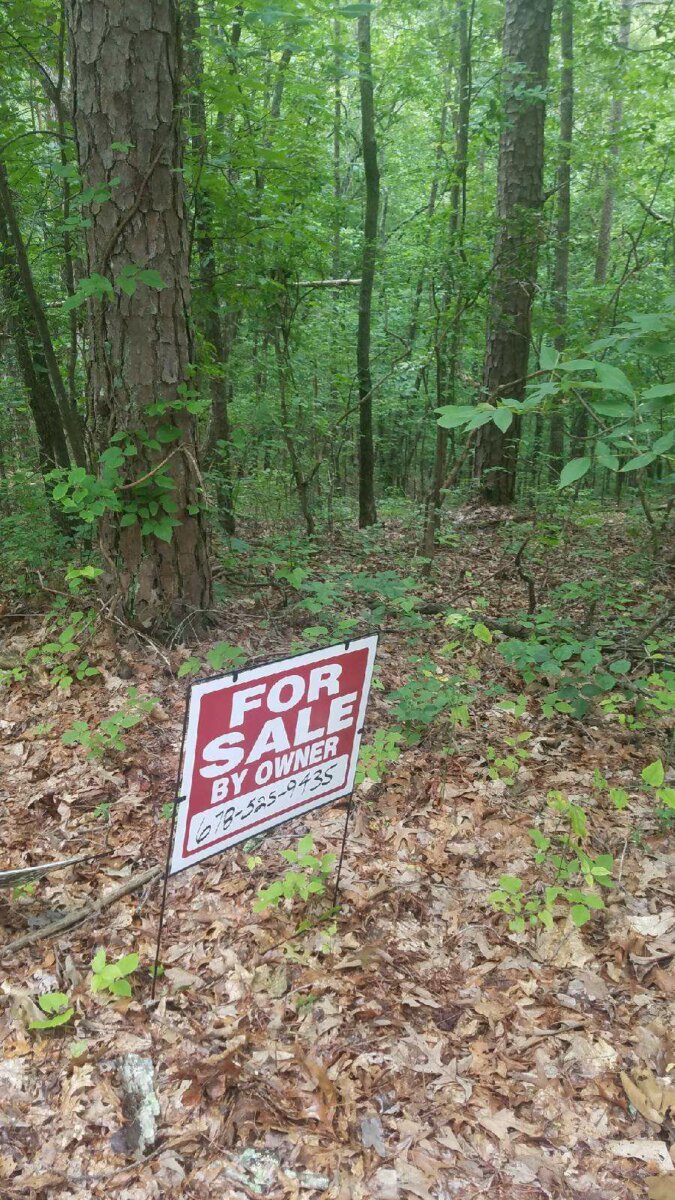 1.23 Acres Talking Rock Creek Resort Ranger, GA