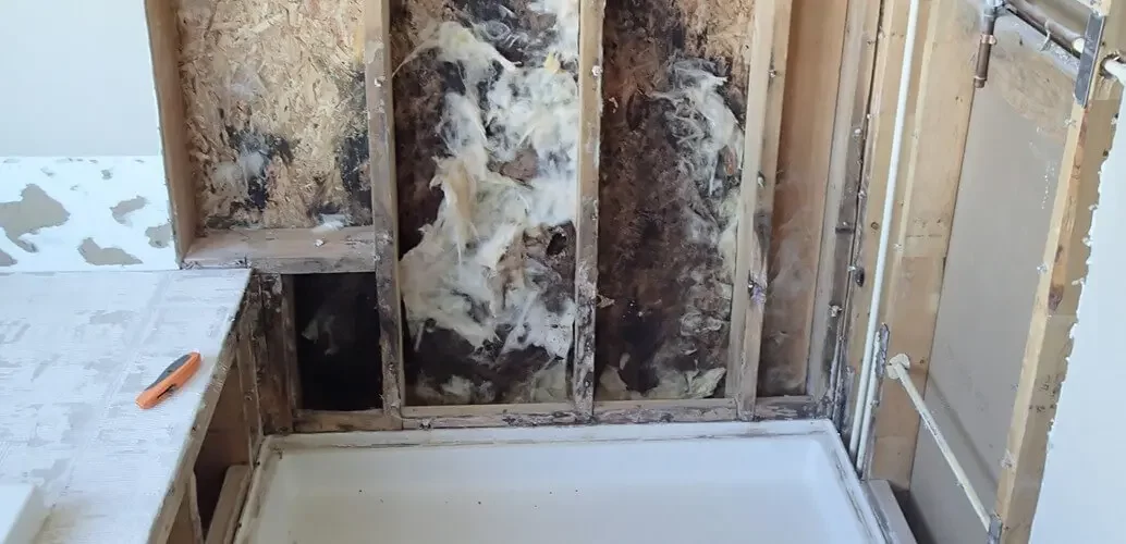 common types of mold damage in texas homes