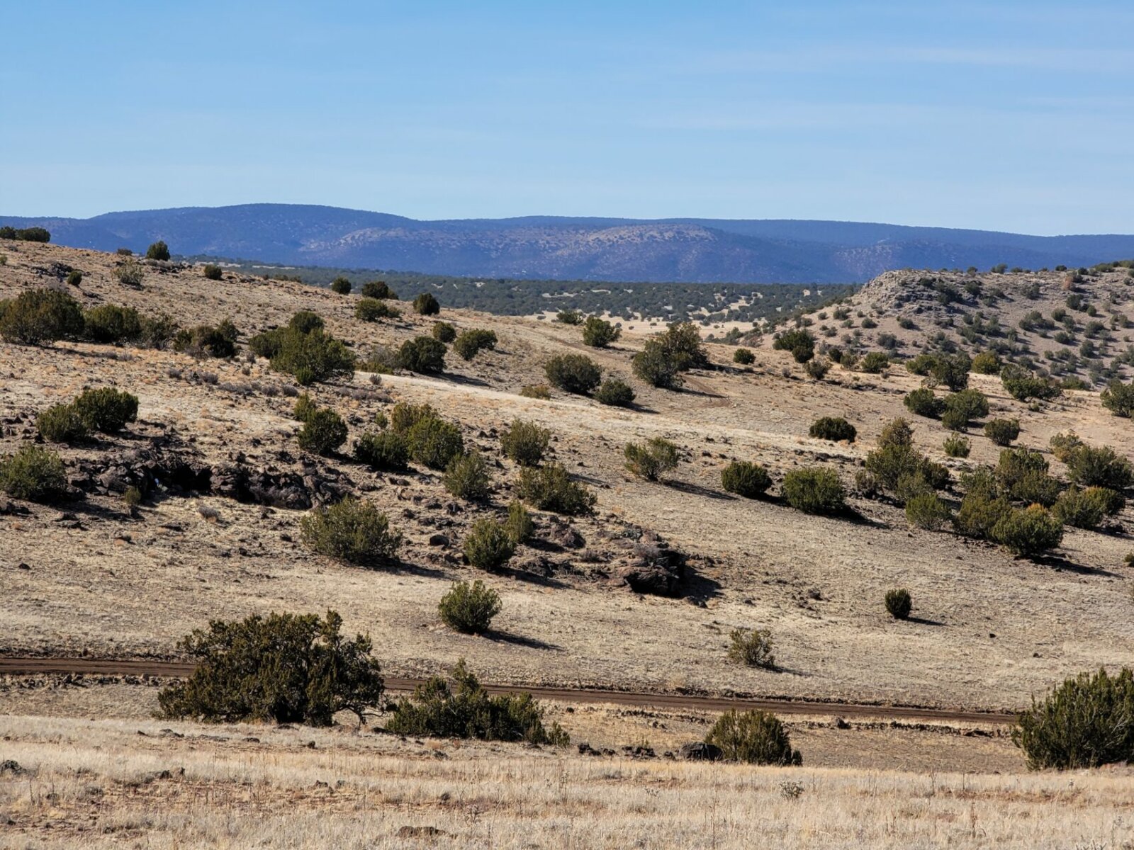 Over 35 Acres of Beautiful Wide Open Land & Clear Blue Skies in