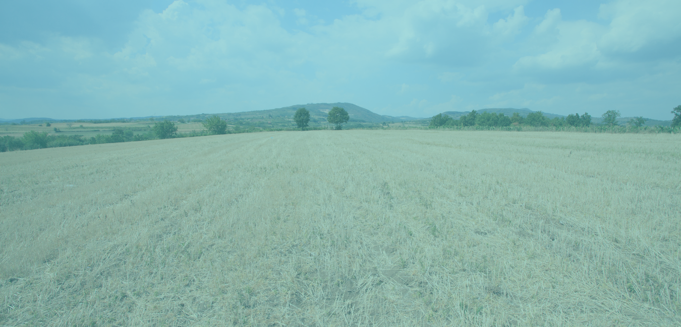 Sell Your Land in Gateshead Fast & No Fees