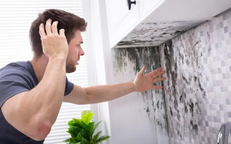 Can You Sell a House with Mold in New York A Complete Guide