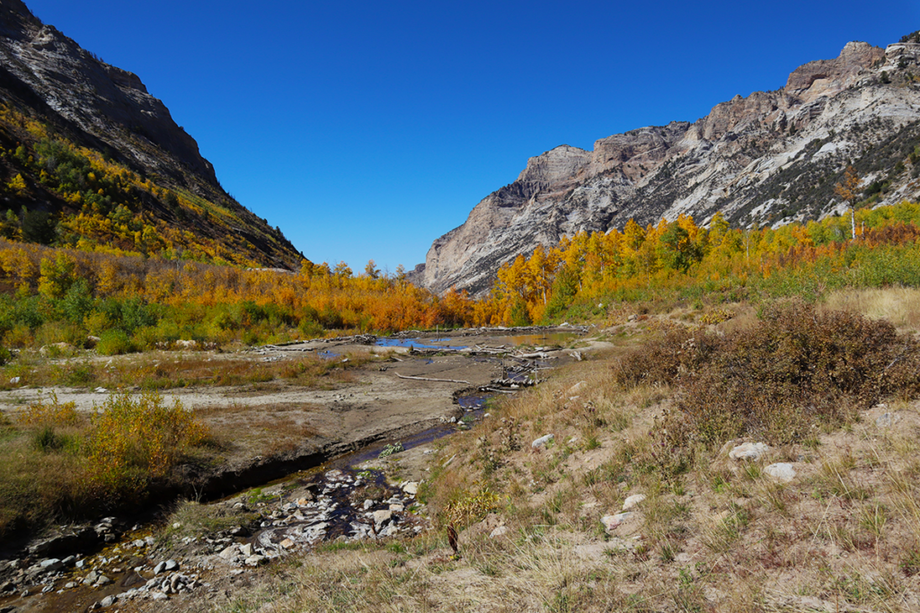 Things to do in Elko, NV a List of Events and Entertainment