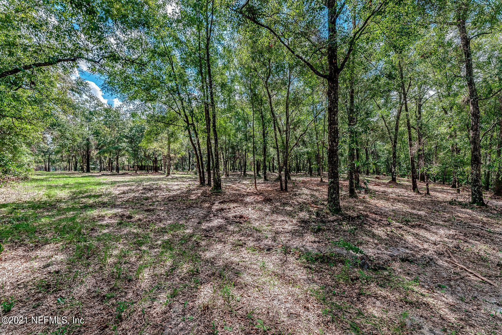 Raw Land for Sale Charlotte County, FL