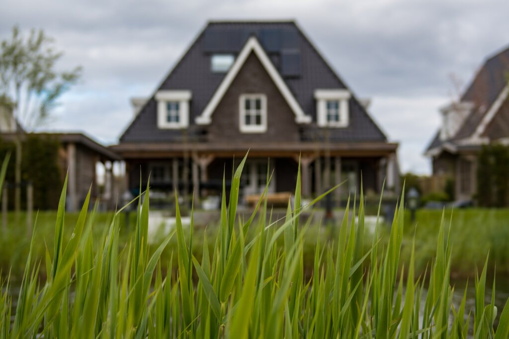 Long grass in front of house