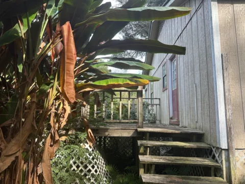 House_for_sale_fairhope