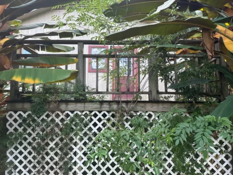 House_for_sale_fairhope