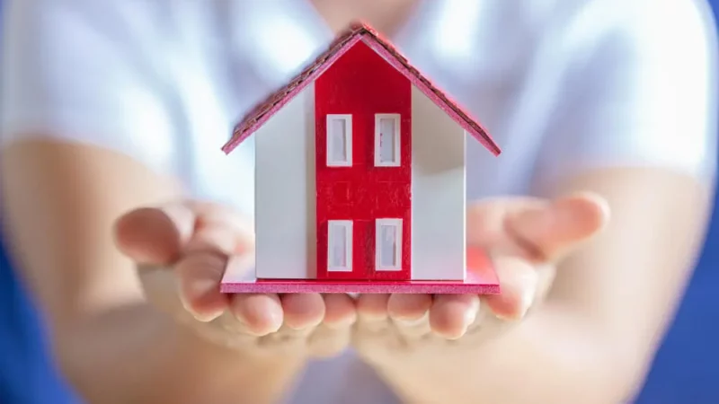 Man holding a red house