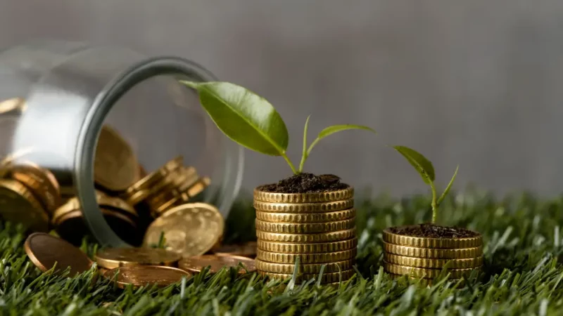 Coins with a plant growing on top of it.